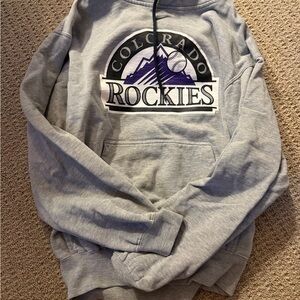 Nike Gray Team Hoodie